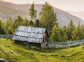 The Livelybeacon